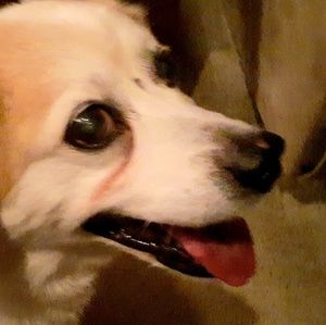 Meet your Posher, Ian